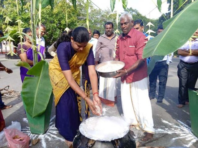 Thaipongal Festival_17.01.2023